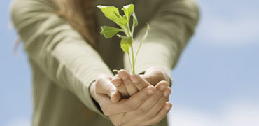 More Green Resources